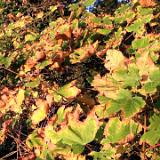 0510F 16 PB-Guetersloh